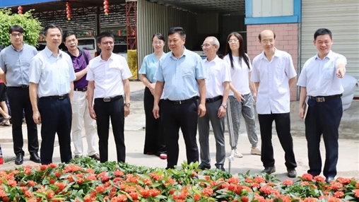 自治區(qū)政協(xié)常委、梧州市政協(xié)主席黃振饒蒞臨百裕集團(tuán)走訪調(diào)研